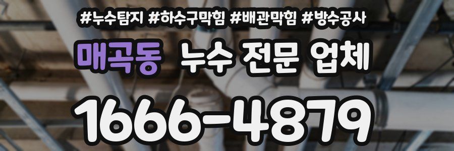 매곡동 누수 전문 업체