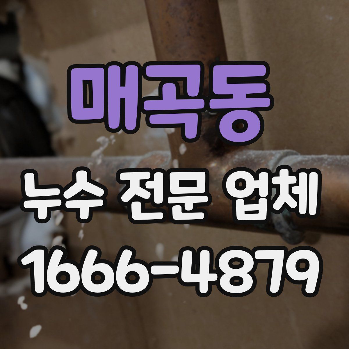 매곡동 누수 전문 업체