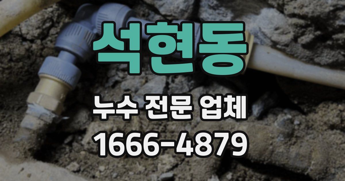 석현동 누수 전문 업체