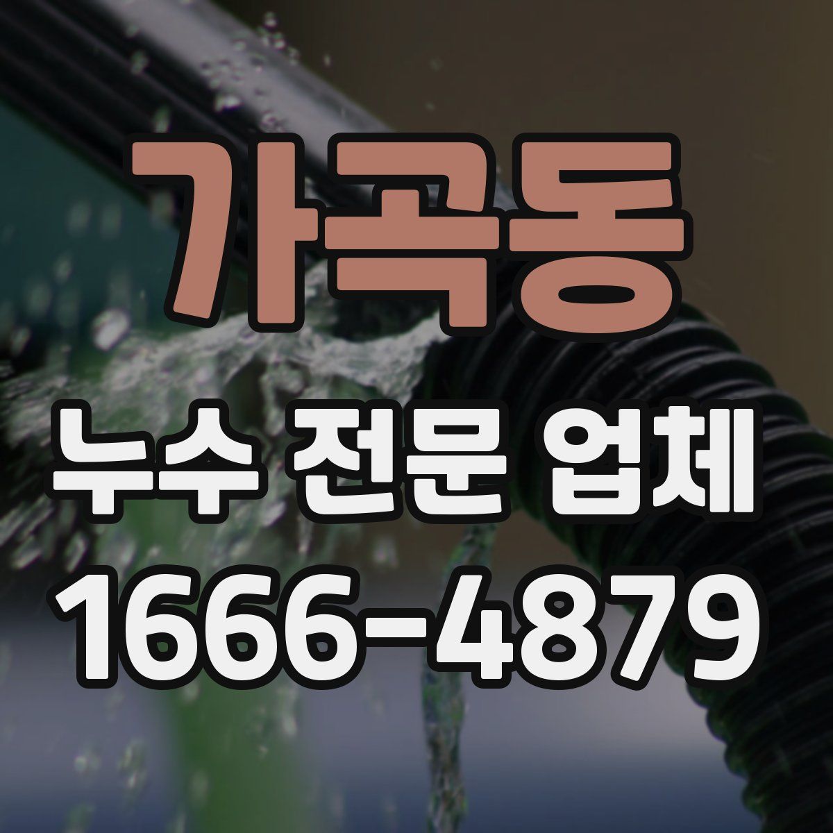 가곡동 누수 전문 업체