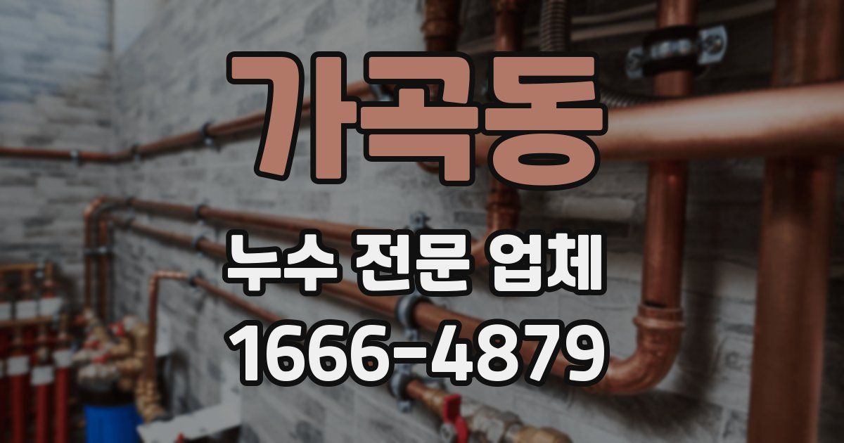 가곡동 누수 전문 업체