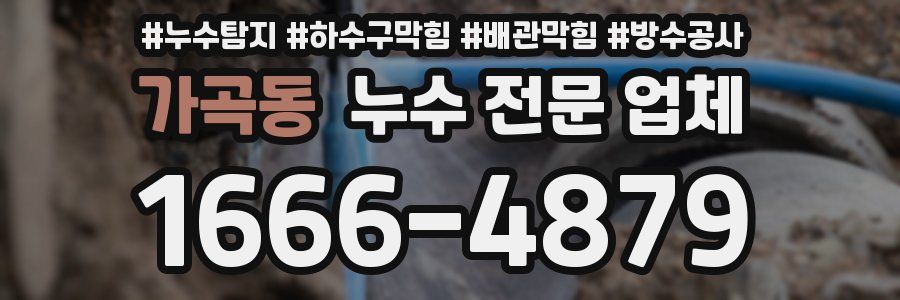 가곡동 누수 전문 업체