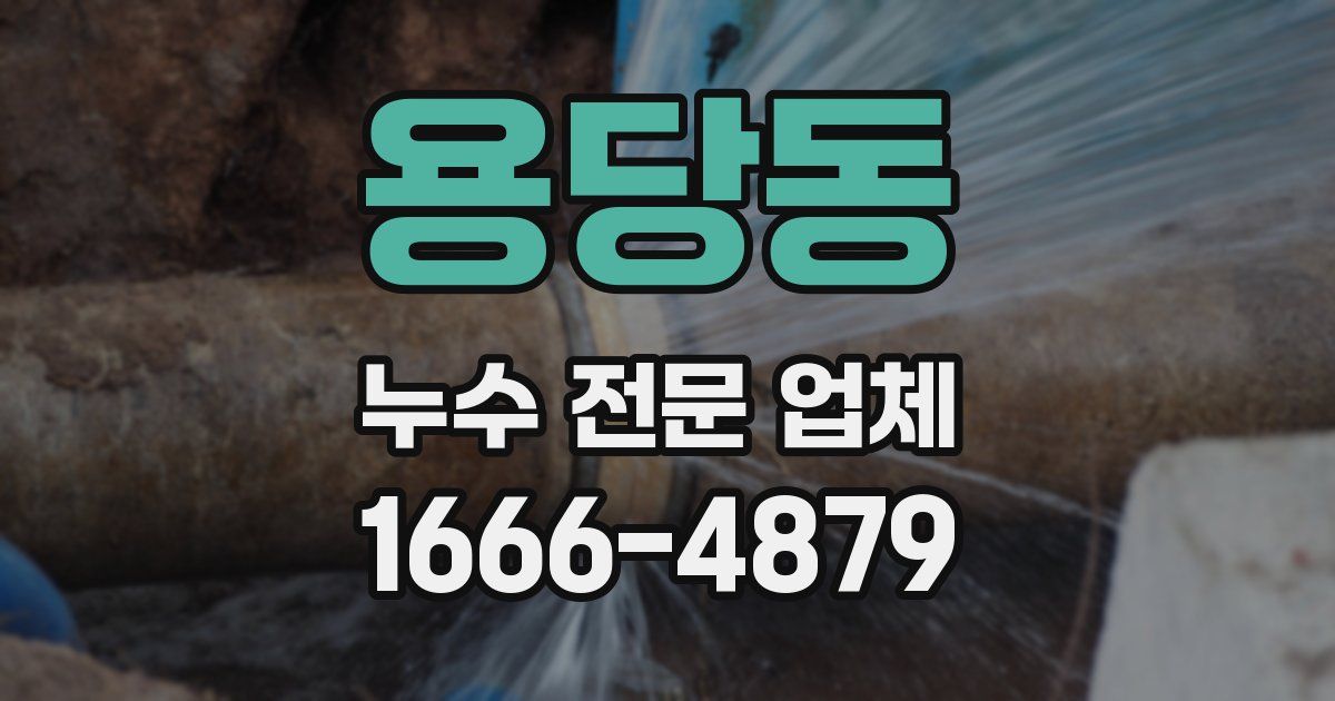 용당동 누수 전문 업체