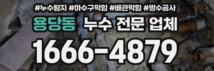 용당동 누수 전문 업체