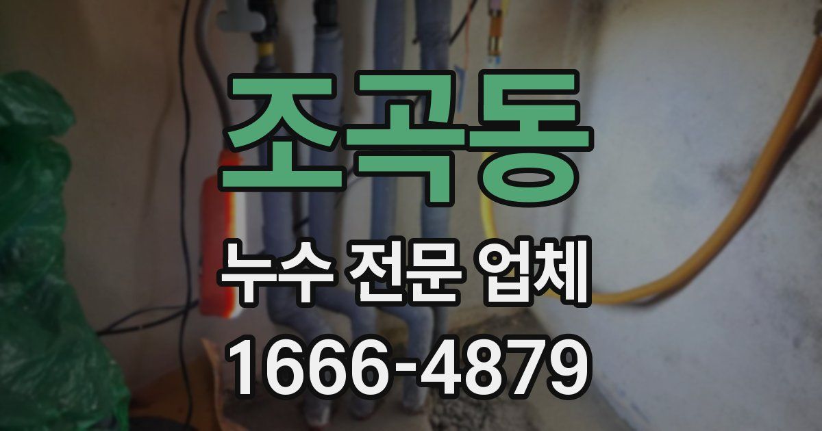 조곡동 누수 전문 업체