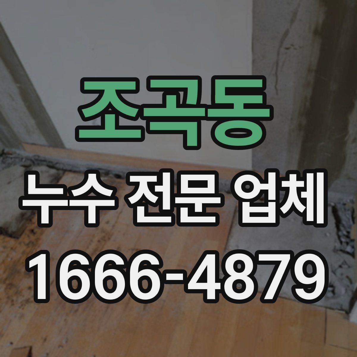 조곡동 누수 전문 업체