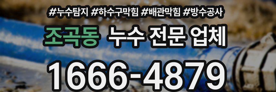 조곡동 누수 전문 업체