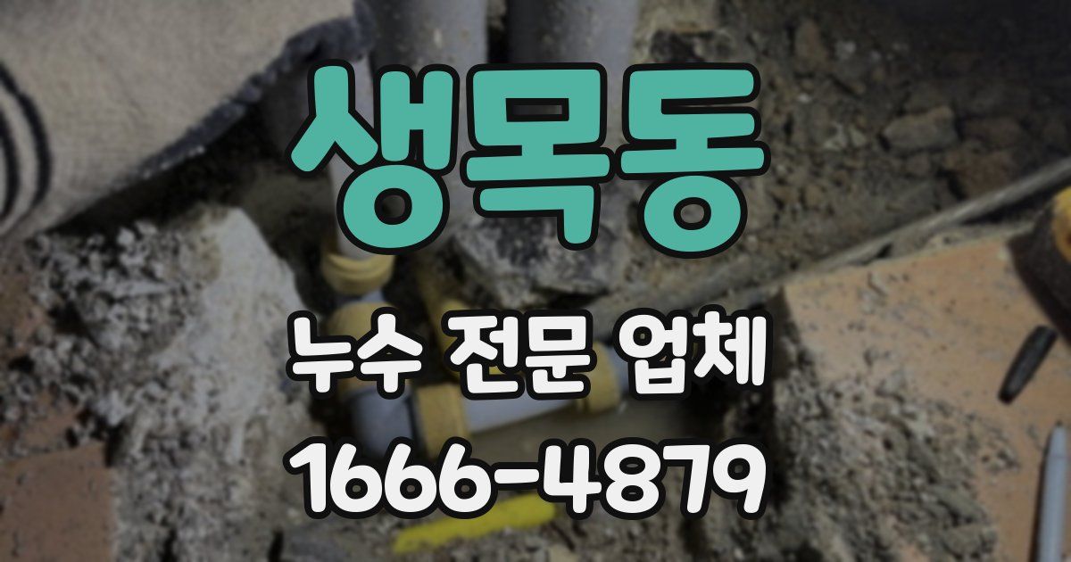 생목동 누수 전문 업체