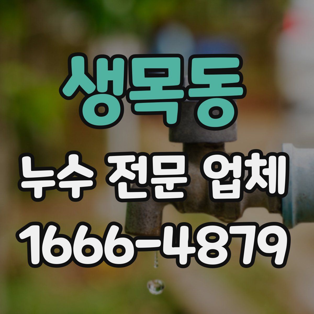생목동 누수 전문 업체