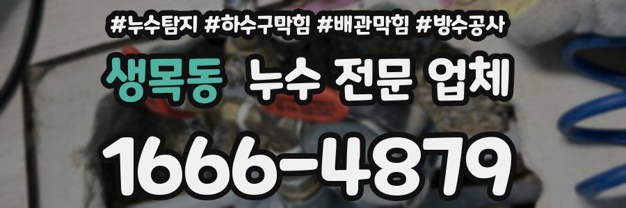 생목동 누수 전문 업체