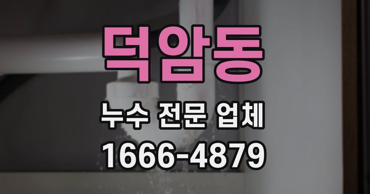 덕암동 누수 전문 업체