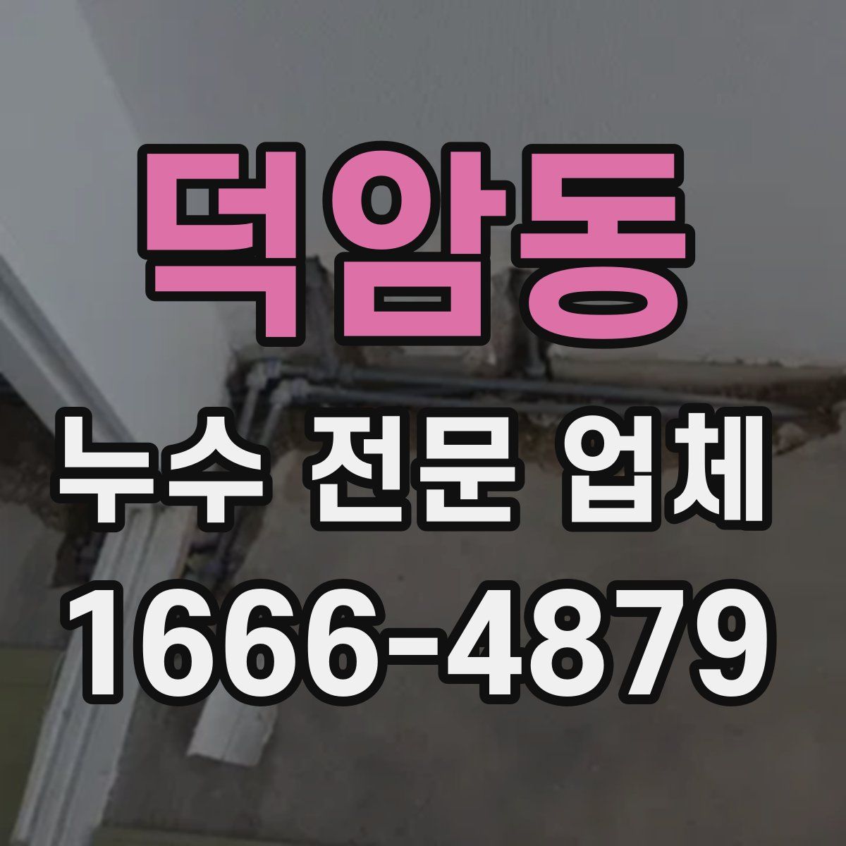덕암동 누수 전문 업체