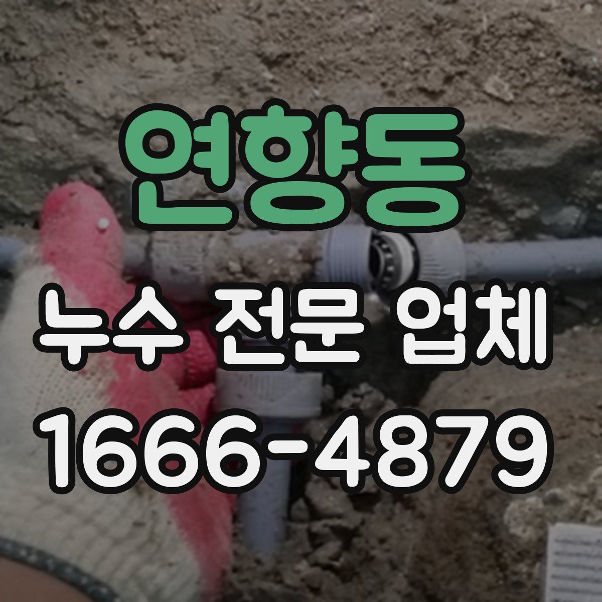연향동 누수 전문 업체