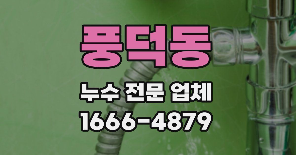 풍덕동 누수 전문 업체