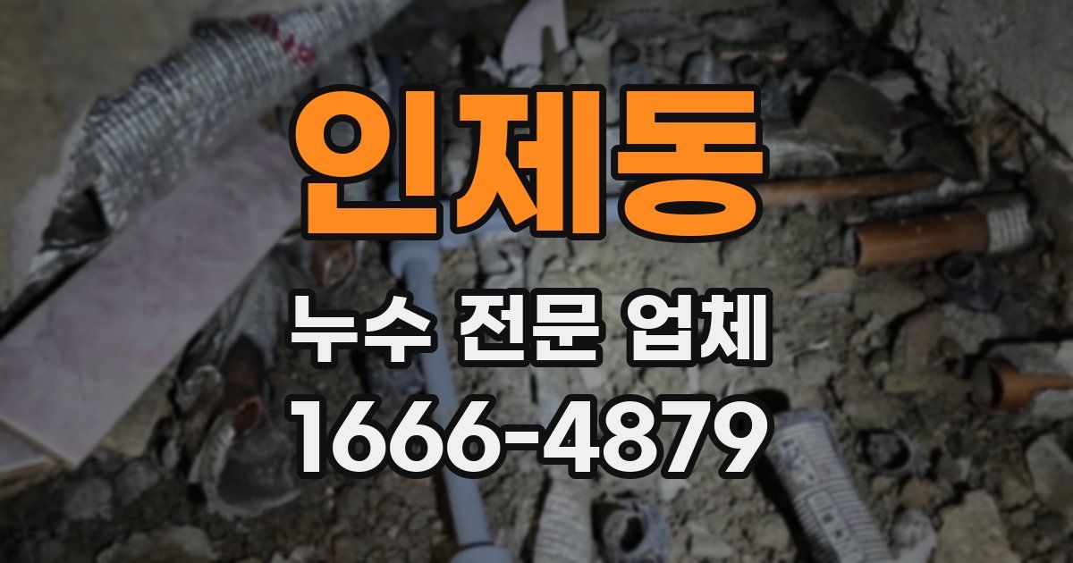 인제동 누수 전문 업체