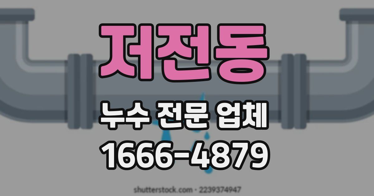 저전동 누수 전문 업체