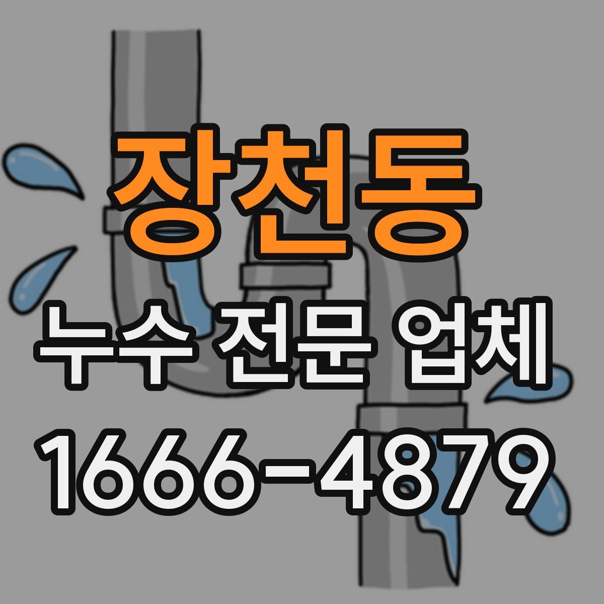 장천동 누수 전문 업체
