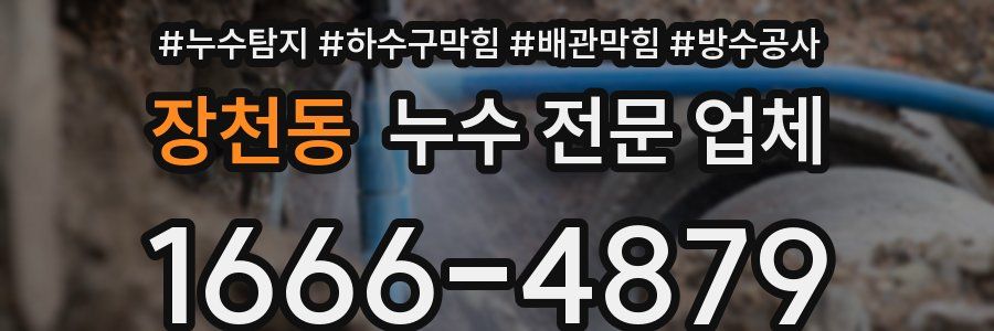 장천동 누수 전문 업체