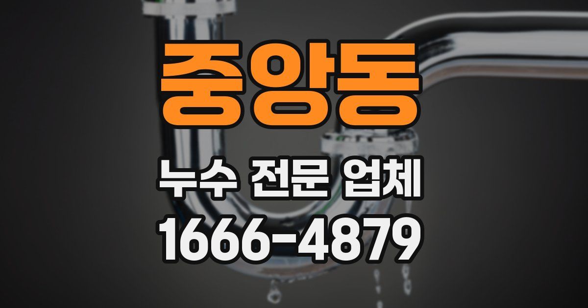 중앙동 누수 전문 업체