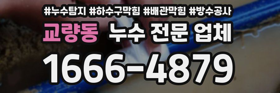 교량동 누수 전문 업체