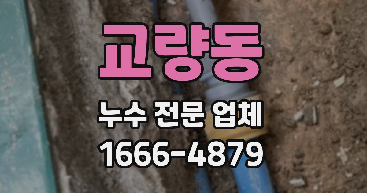 교량동 누수 전문 업체
