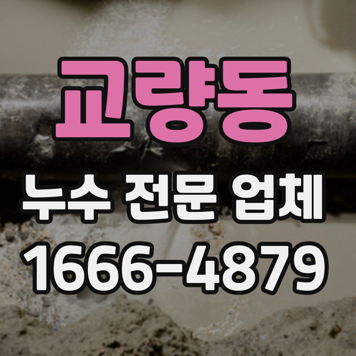 교량동 누수 전문 업체
