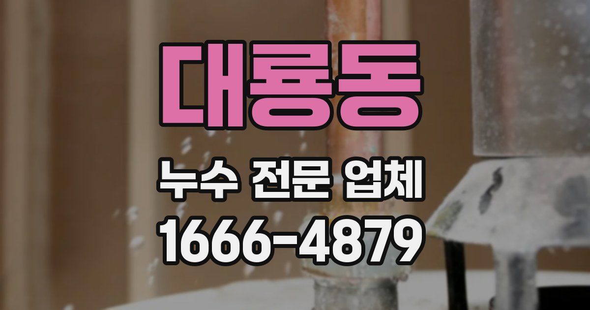 대룡동 누수 전문 업체