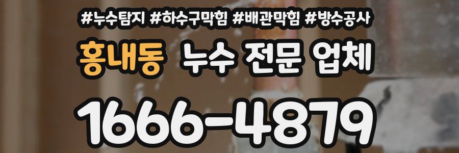 홍내동 누수 전문 업체