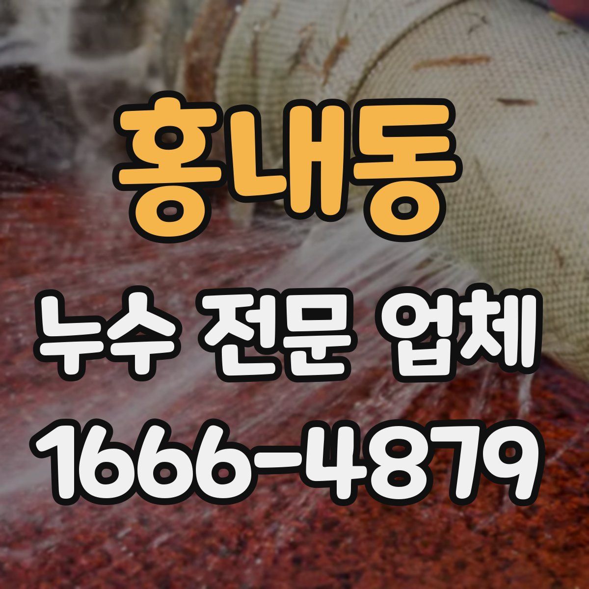홍내동 누수 전문 업체