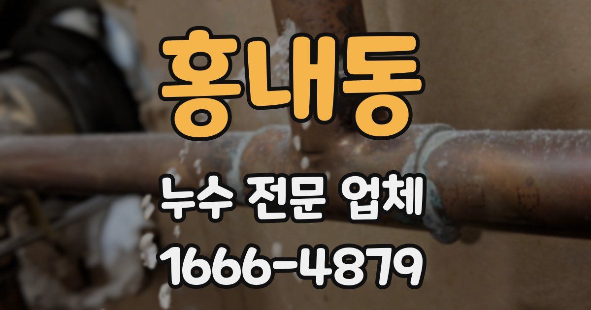 홍내동 누수 전문 업체