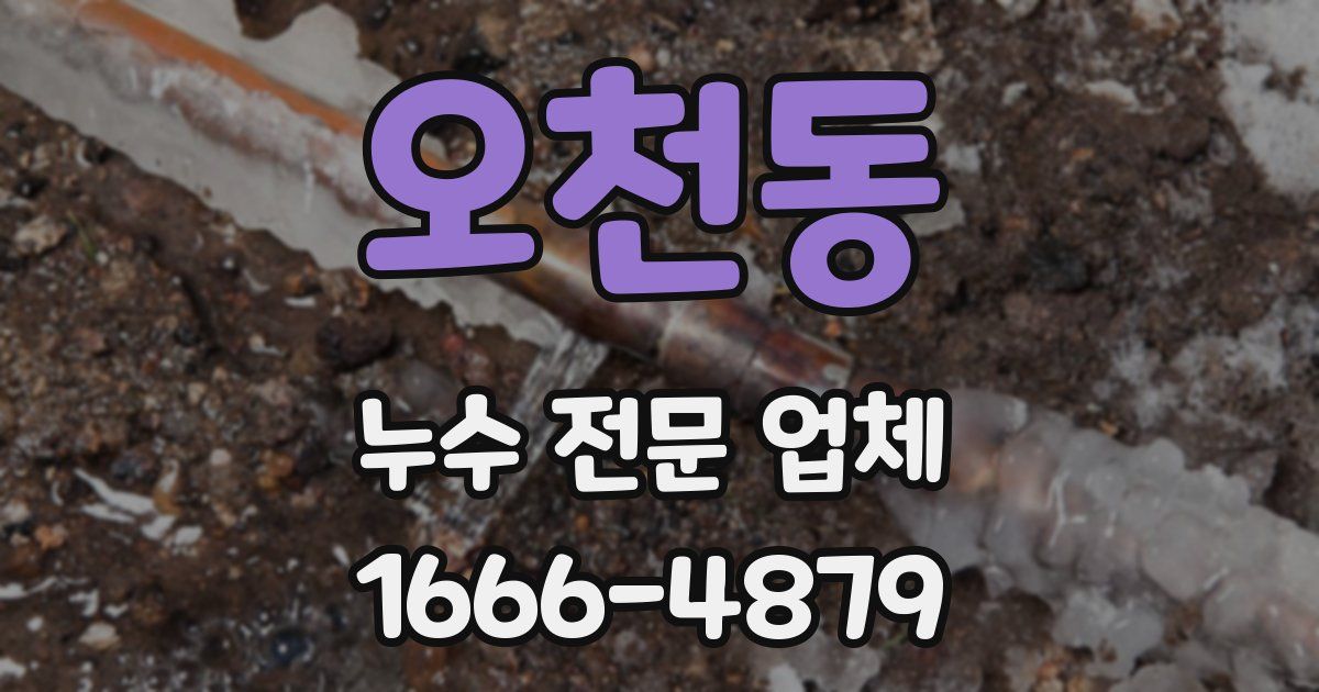 오천동 누수 전문 업체