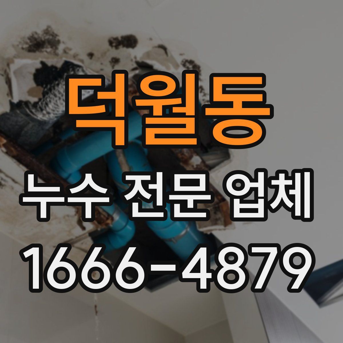 덕월동 누수 전문 업체