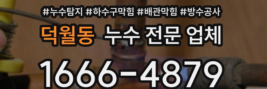 덕월동 누수 전문 업체