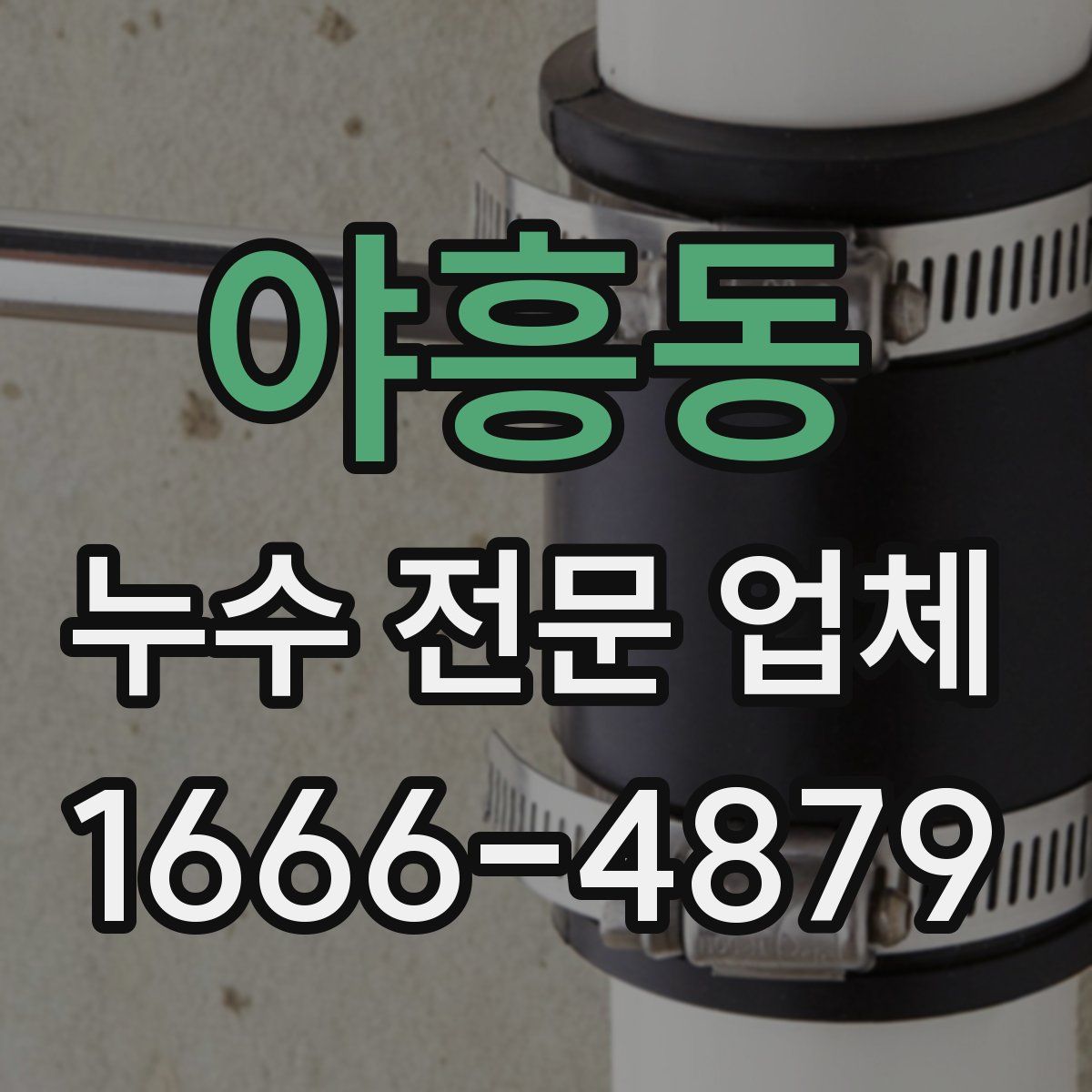 야흥동 누수 전문 업체