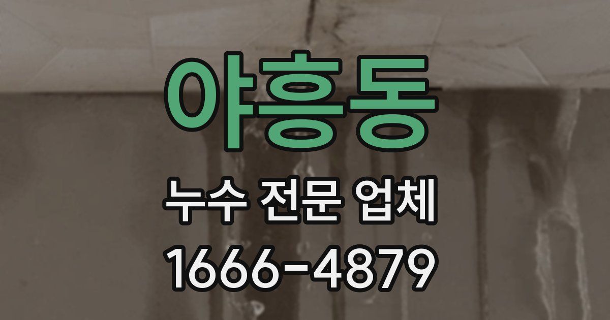 야흥동 누수 전문 업체