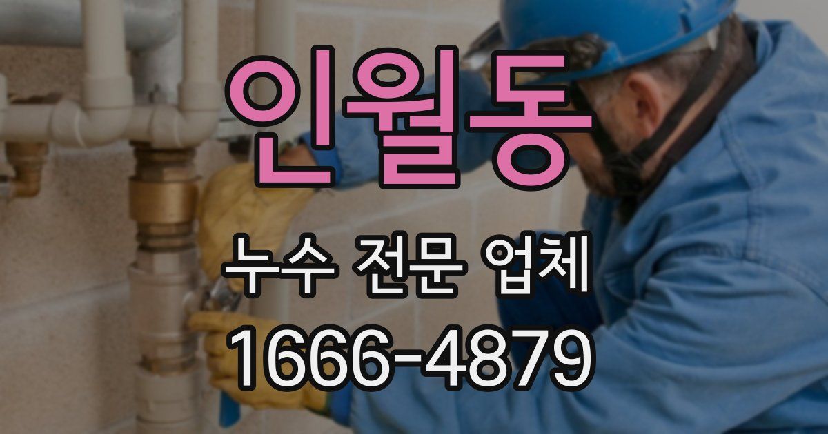 인월동 누수 전문 업체
