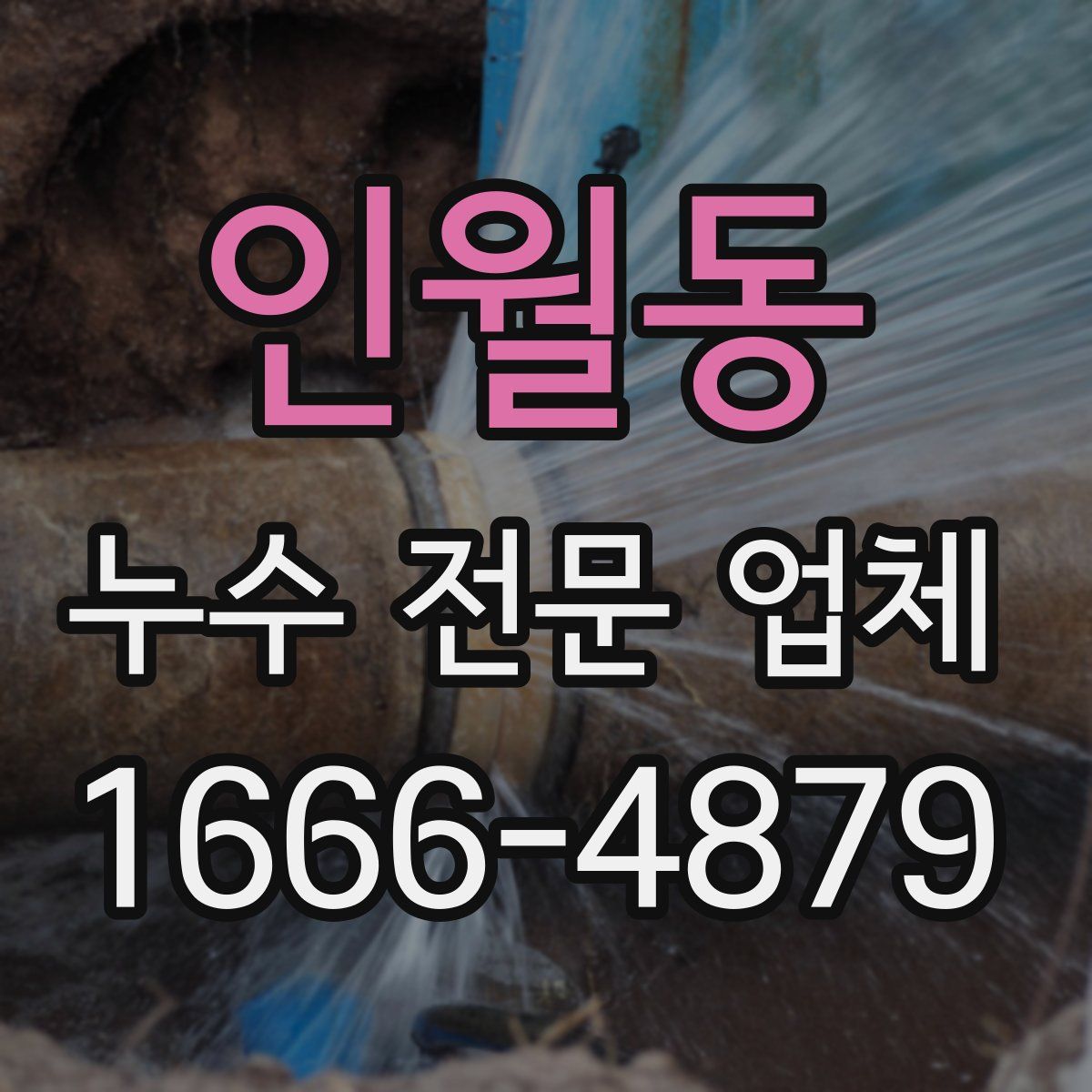 인월동 누수 전문 업체