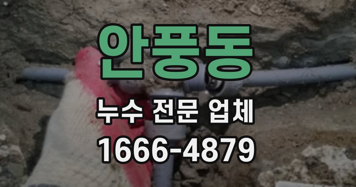 안풍동 누수 전문 업체