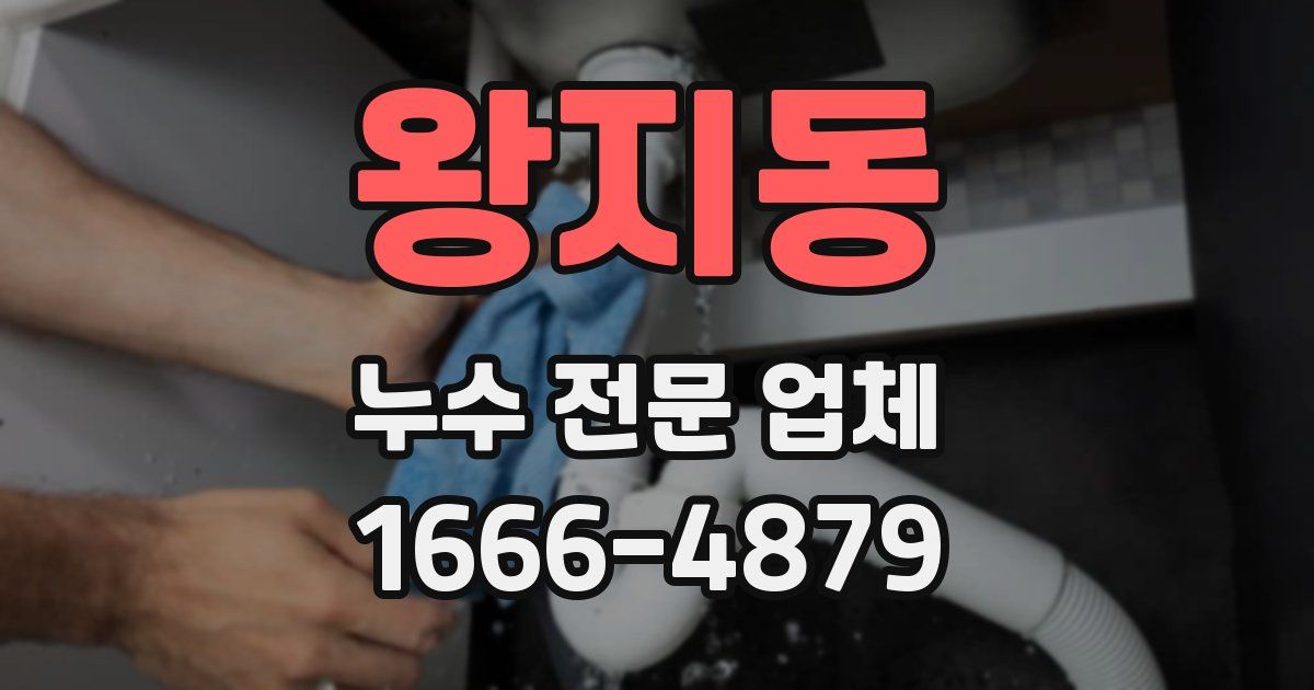 왕지동 누수 전문 업체