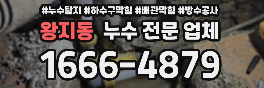 왕지동 누수 전문 업체