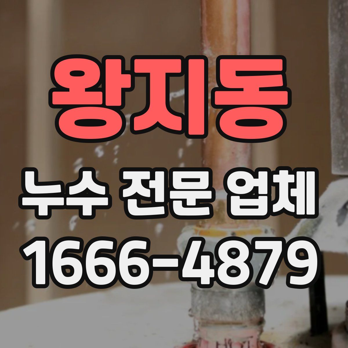 왕지동 누수 전문 업체