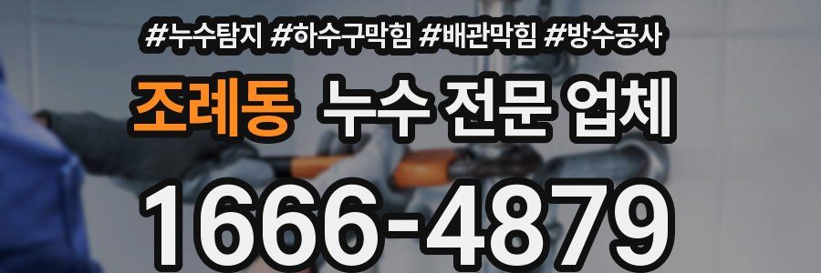 조례동 누수 전문 업체