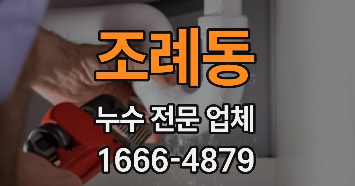 조례동 누수 전문 업체