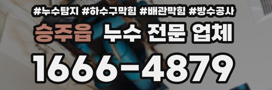승주읍 누수 전문 업체
