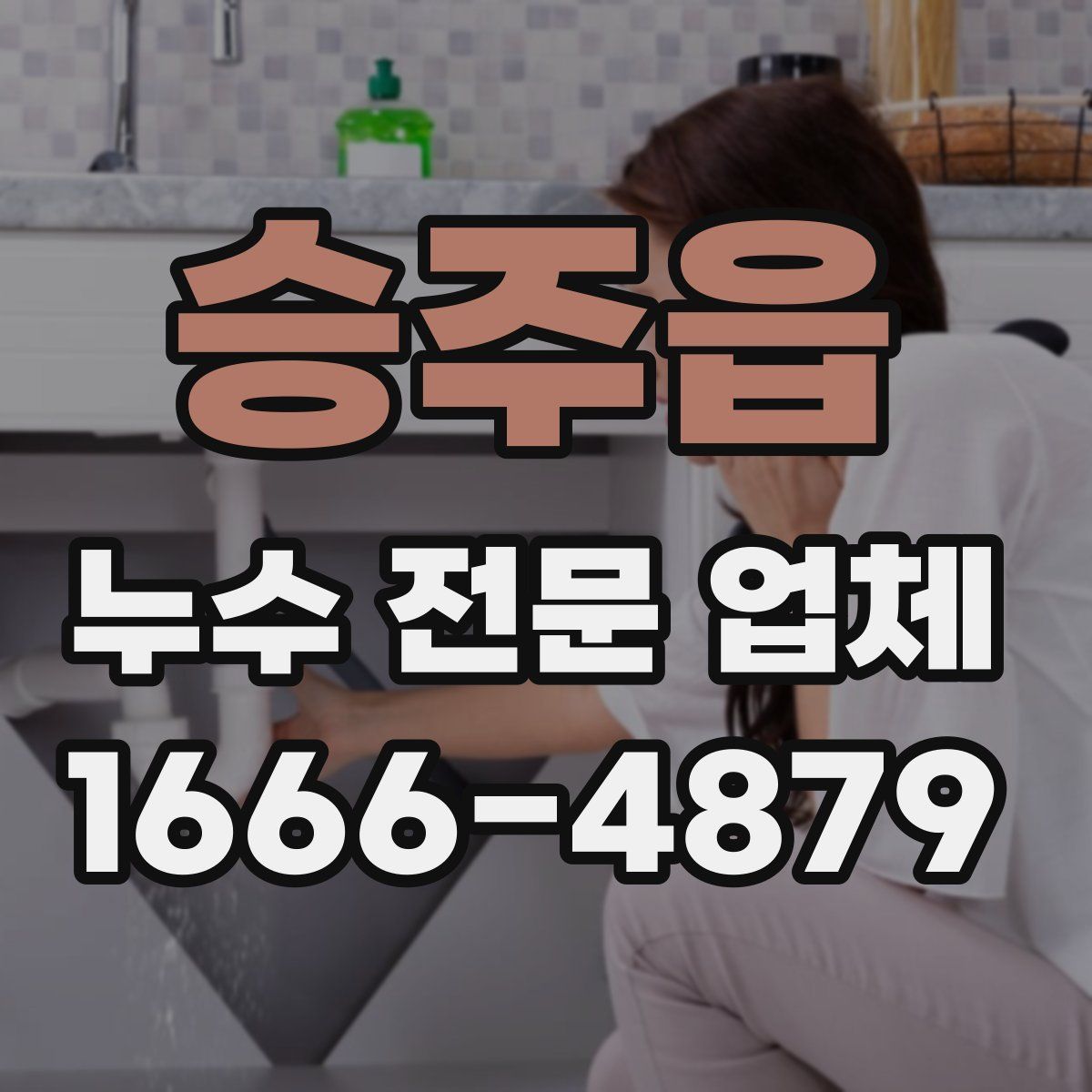승주읍 누수 전문 업체