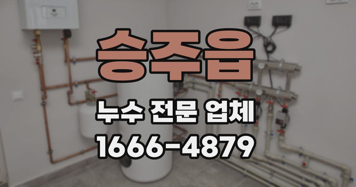 승주읍 누수 전문 업체