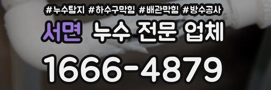 서면 누수 전문 업체