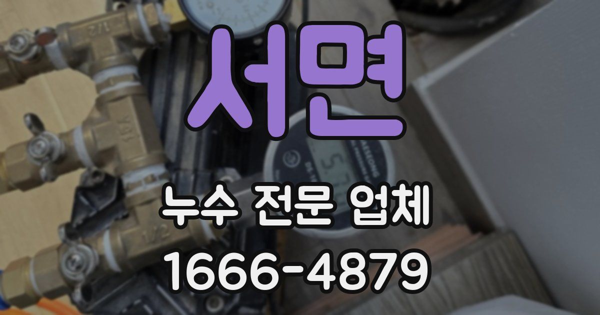 서면 누수 전문 업체