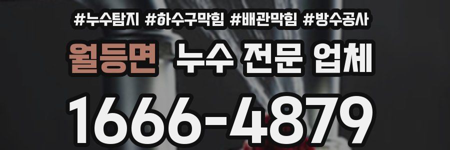 월등면 누수 전문 업체