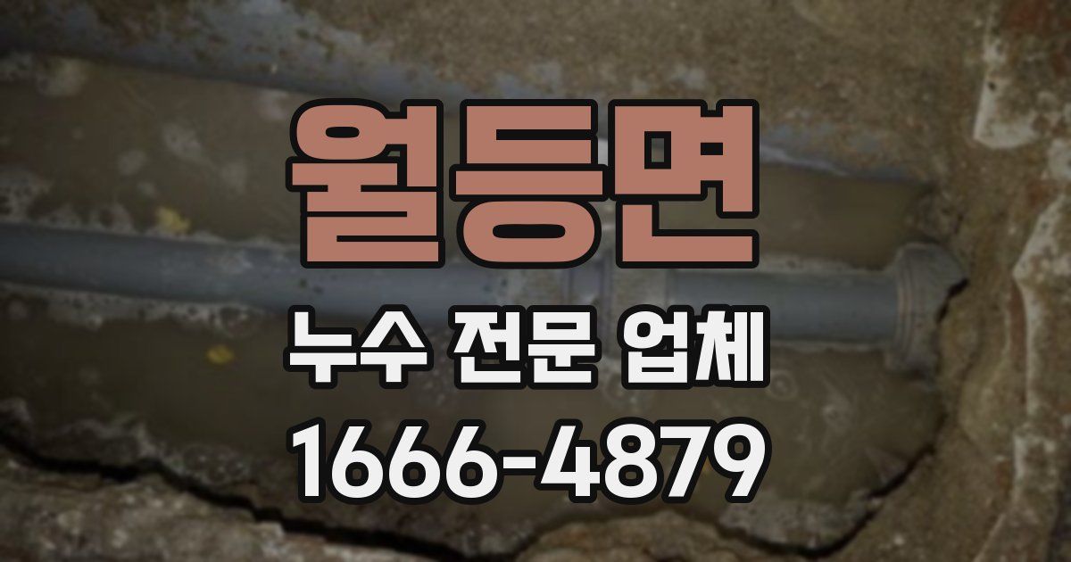 월등면 누수 전문 업체